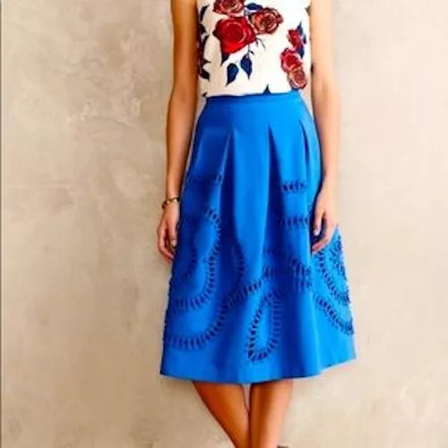 Anthropologie Sachin and Babi Blue Emroidered Skirt Size 4