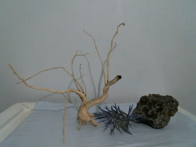 driftwood aquarium terrarium 8x11x11" spiderwood root decor