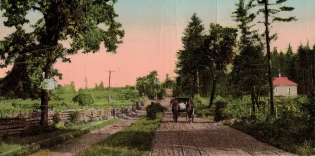 C1910 Gel Colored Oregon Country Road Horse Carriage Farm Sign Vintage Postcard