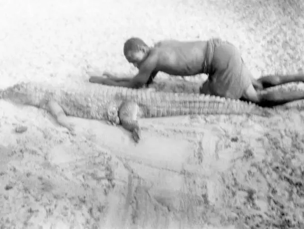 French West Africa man next to slain West African crocodile hu- 1910 Old Photo