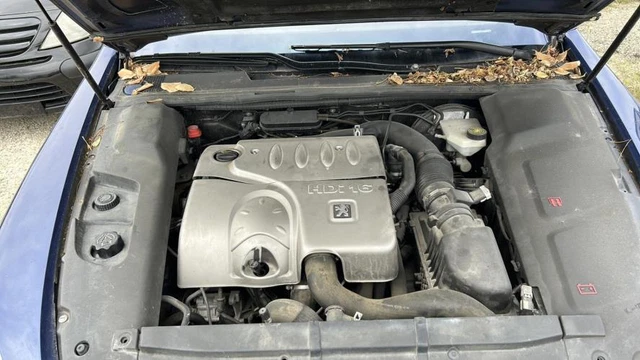 Poignee interieur arriere gauche PEUGEOT 607 PHASE 1 2.2 HDI - 16V TURBO