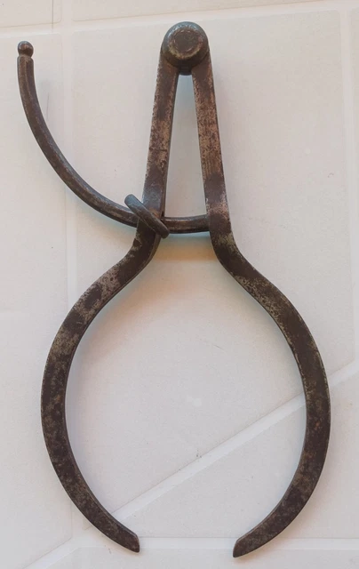 19È OUTIL MÉTIERS Anciens Grand Compas d'Epaisseur Alésage Acier forgé ...