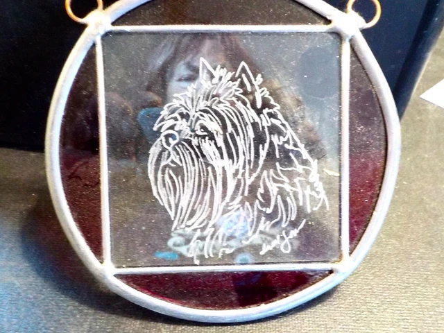 AFFENPINSCHER hand engraved and signed glass panel with stained glass border AFFENPINSCHER hand engraved and signed glass panel with stained glass border