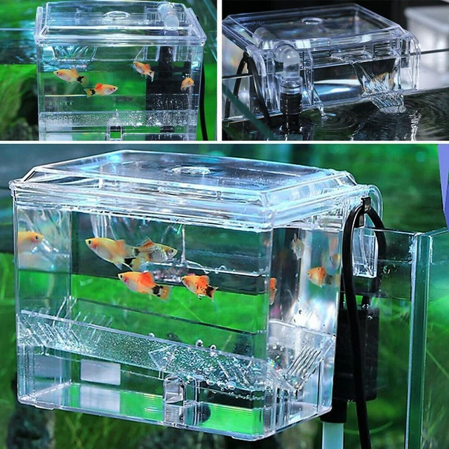 FISH TANK BREEDING Hatchery Incubator Aquarium Breeder high Box s6z2 ...