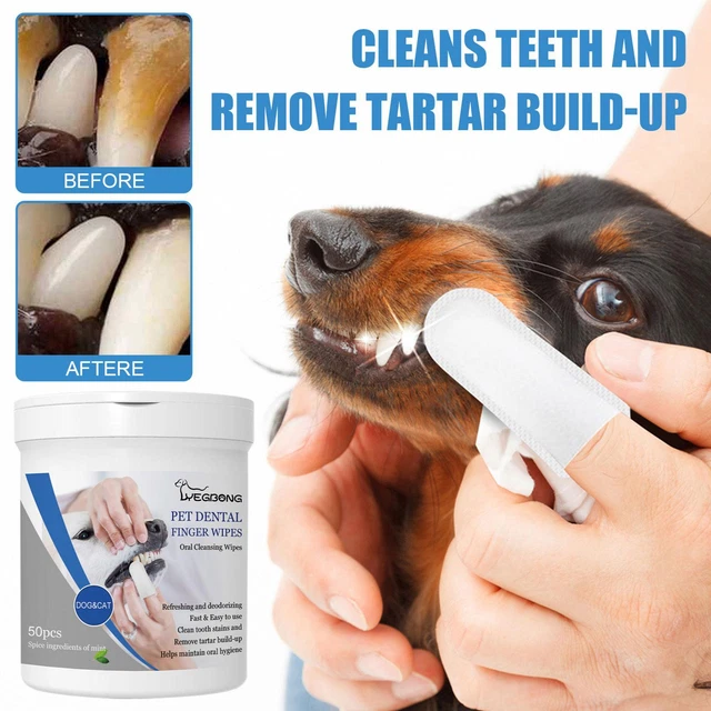 50 piezas/caja de suministros de limpieza dental para perros gatos cachorros W4M8