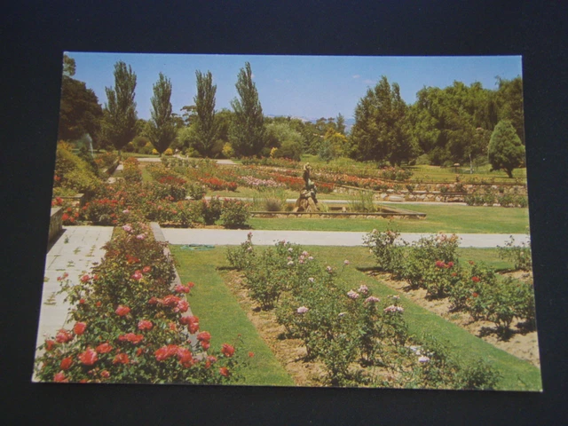 Adelaide South Australia The Veale Gardens Postcard