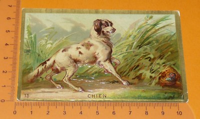 AB3 image chromo image d'école bon point    CHIEN de BERGER 