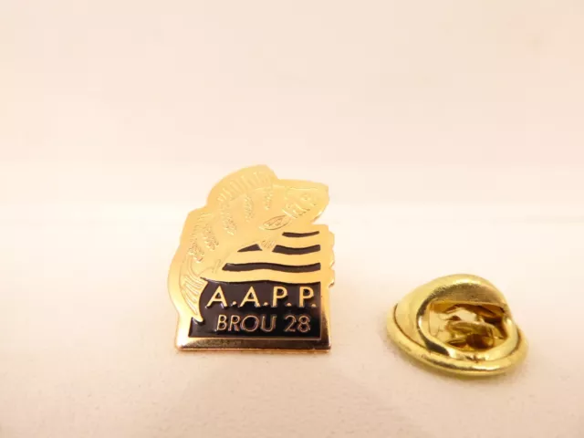 Pin's Pins Pin Badge-  A.P.P BROU 28 - PECHE - CARPE