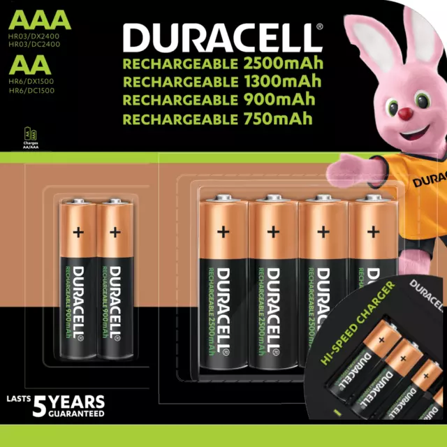 Piles rechargeables DURACELL Stay Charged LR03 (AAA) NiMH 900mAh Blister de  2 piles