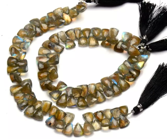 Natural Gem Multi Fire Labradorite 11x9MM Approx Size Faceted Triangle Beads 9"