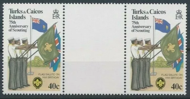 Flags, Salute, Scout, Turks and Caicos Islands 1982 MNH Gutter Pair, Scouts