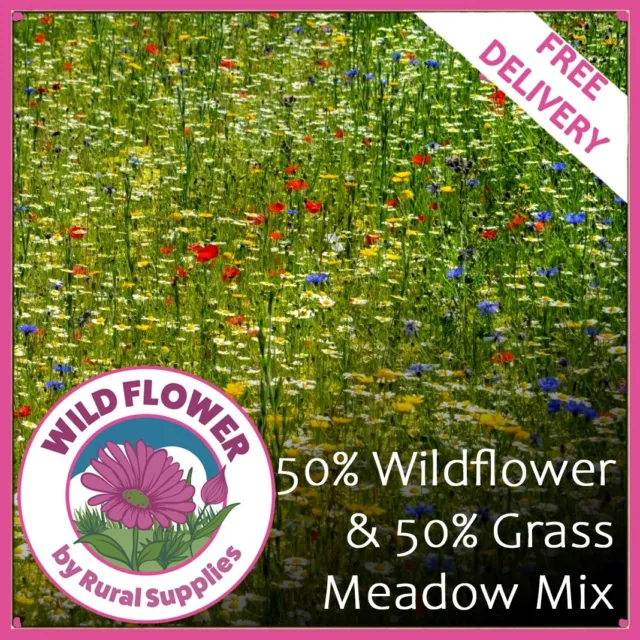 500G Wild Flower Meadow Lawn Seeds Natural Pollinator Attract Bees & Butterflies
