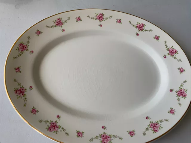 Royal Osborne Princess Staffordshire White Mist 13” Oval Serving Plate Rose Patt