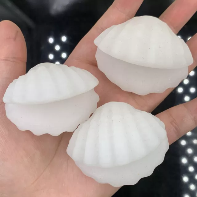 Natural White Jade Hand Carved Crystal Quartz Sea Shell Healing Reiki Gift *1