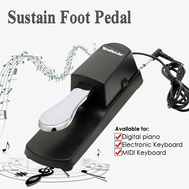 DAMPER SUSTAIN FOOT Pedal Polarity Switch Design for Electronic Piano