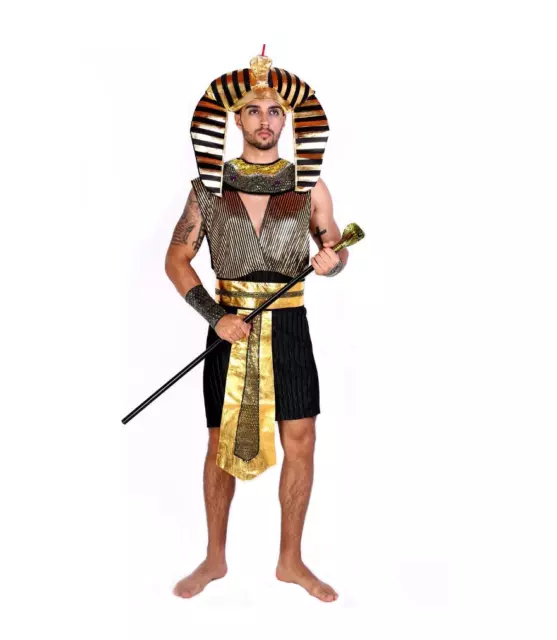 Ägypter Pharao Herrenkostüm Ägypten Antike Halloween Karneval Fasching Kostüm M 2