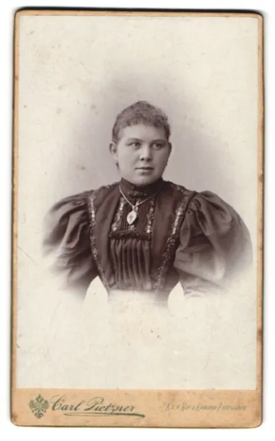 Fotografie Carl Pietzner, Aussig a. d. Elbe, Teichgasse 13, Junge Dame im Kleid