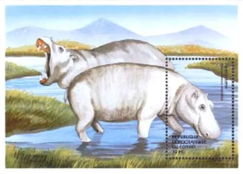 Timbre Animaux Mammifères Hippopotames Congo RD BF66E ** (64016DJ)