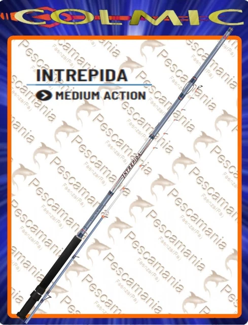 CANNE DE SURFCASTING Colmic Minerva Mt. 4,50 Gr 100-200 EUR 82,08 CANNE DE SURFCASTING Colmic Minerva Mt. 4,50 Gr 100-200 EUR 82,08