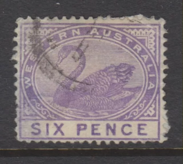 1885-1893 - WESTERN AUSTRALIA - 6d. BRIGHT VIOLET SWAN - P14 - SG 100 - W559