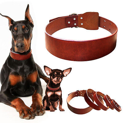 Luxury Soft Genuine Leather Dog Collar Heavy Duty for Medium Large Dogs Pitbull