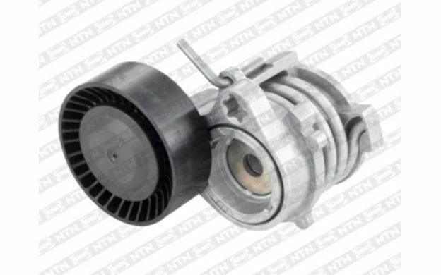SNR Galet tendeur (courroie d'accessoire) pour BMW Série 3 GA350.63