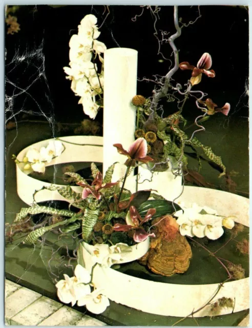 Postcard - Orchids and Cypripedium - Floristry Show - Mannheim, Germany
