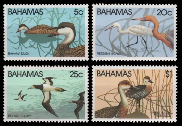 Bahamas 1981 - Mi-Nr. 482-485 ** - MNH - Vögel / Birds