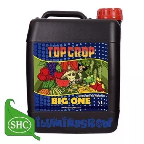 BIG ONE 5L Abono Bio-estimulador de Floracion Organico, Fertilizante TOP CROP