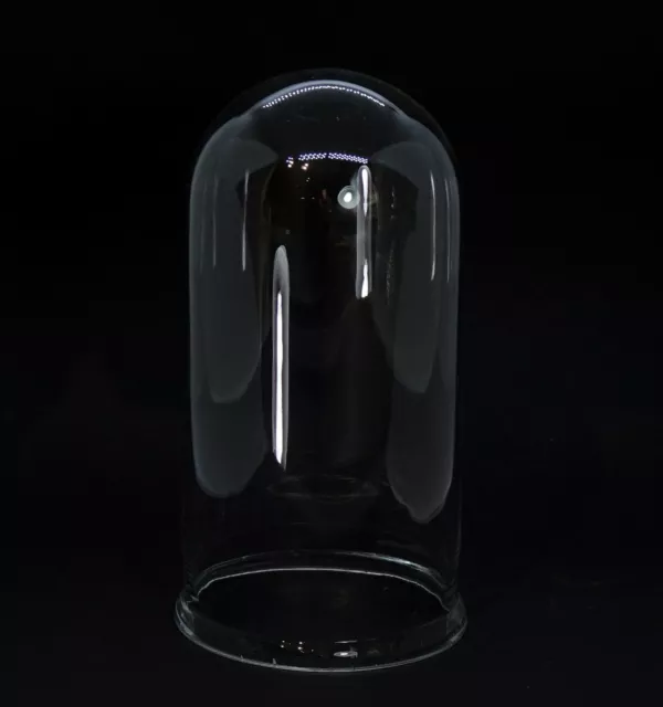 Cúpula de Cristal - Campana de Cristal, 19 Siglo, 21CM (#13659)
