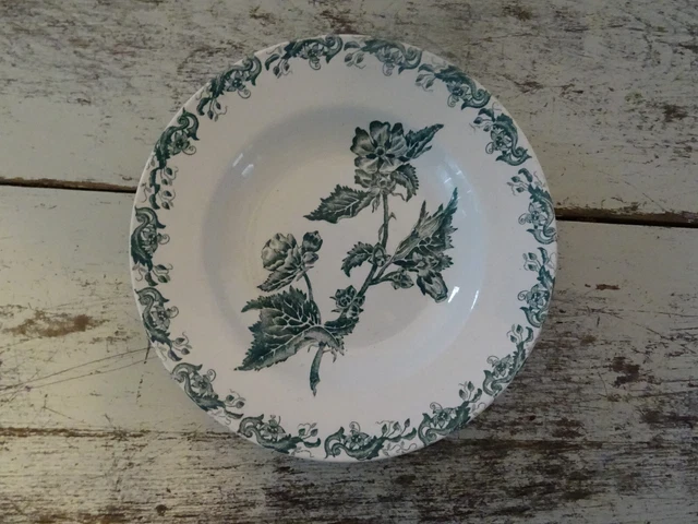Assiette  40123 creuse St  Amand fleur pavot vert Richelieu faience ancienne