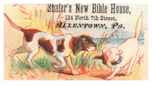 Antique Trade Card Shafer's New Bible House Allentown PA Cat & Dog Hunting A5