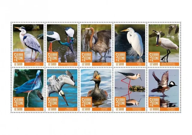 WATERBIRDS 10-Value MNH Water Birds/Bird Stamp Sheet #681 (2020 Sierra Leone)