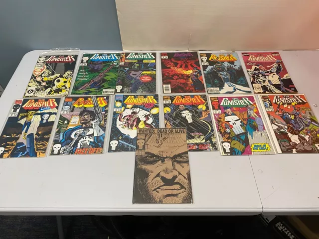 The Punisher  Marvel Comics  Lot Of 13