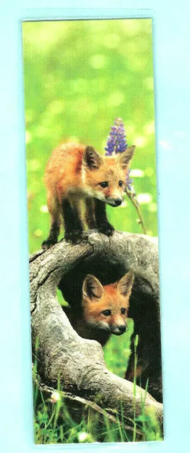 Fox Gifts and Cubs Bookmark Photo English Wildlife Red Pups Animal Lover Her Him
