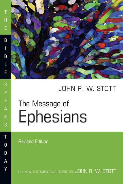 THE MESSAGE OF 1 Peter The Bible Speaks Today Series By Clowney 