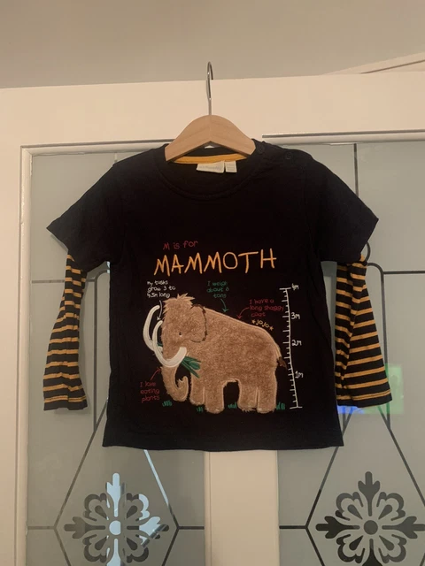 T-Shirt A Maniche Lunghe Ragazzi Jojo Mamma Bebe Mammoth Facts Top Età 2-3 Anni In Perfette Condizioni