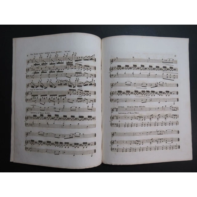 NIKABOKA Sambo Coal Black Rose Piano Flûte ca1835 4