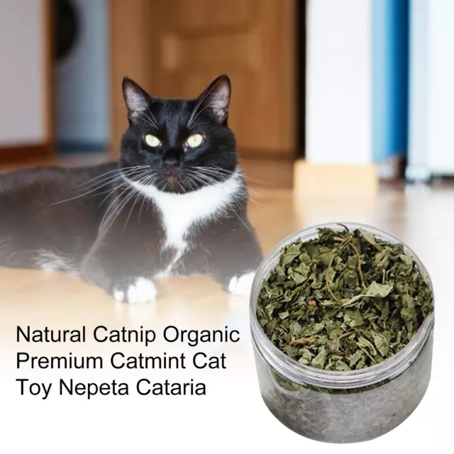 Natural Dried Catnip Leaf Organic Premium Catmint Cat Toy Nepeta Cataria US