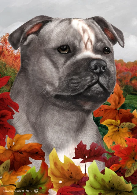 Fall Garden Flag (TB) - Blue and White Staffordshire Bull Terrier 132481