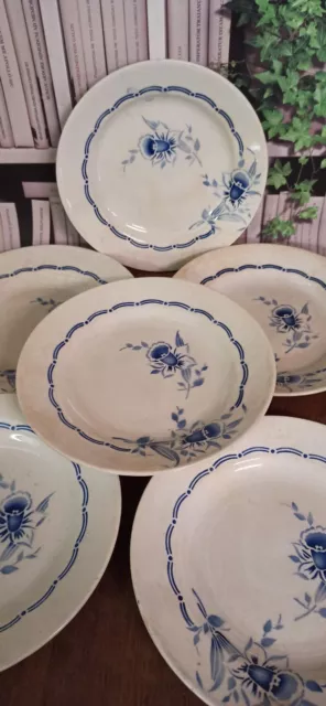 6 Assiettes Plates St Amand Décor Fleurs Clochettes Bleues