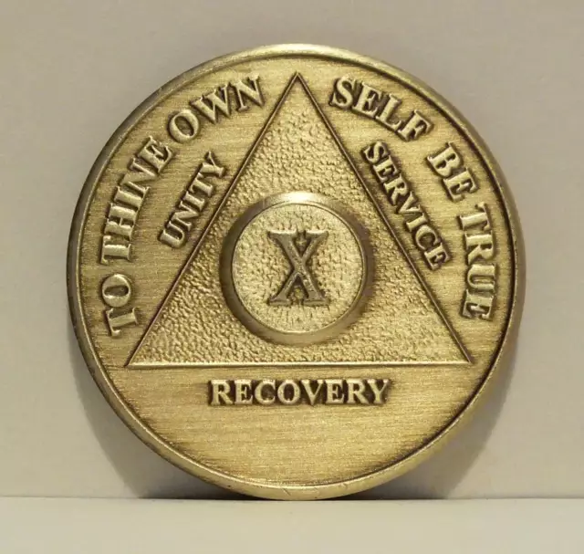 Alcoholic 10 Year Recovery 10 Yr Chip Medallion Coin Medal Token  AA Anonymous