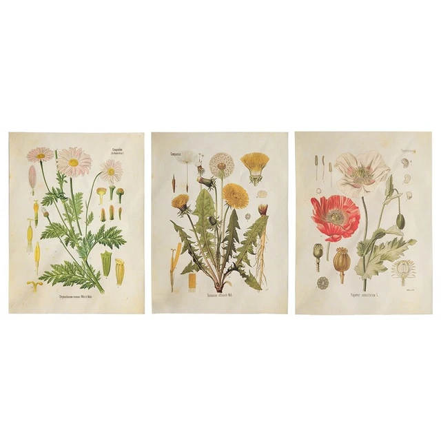 3 piezas Tapiz de flores para colgar de pared planta silvestre Tapiz pequeño F8E6
