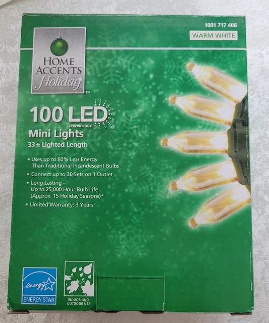 HOME ACCENTS HOLIDAY Warm White Mini LED Light Set 100 NEW 14.99