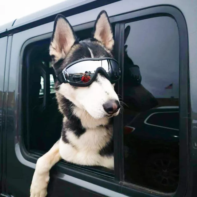 Pet Dog Goggles Glasses Snow Windproof UV Protection Sunglasses Small Large Dog