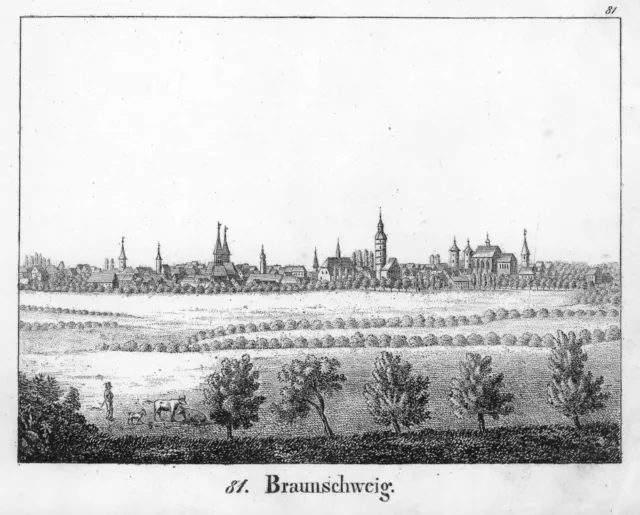Braunschweig, Ansicht, Original-Federlithographie von ca. 1830