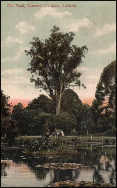 A3651 Australia SA Adelaide Botanic Gardens Pond vintage PU postcard