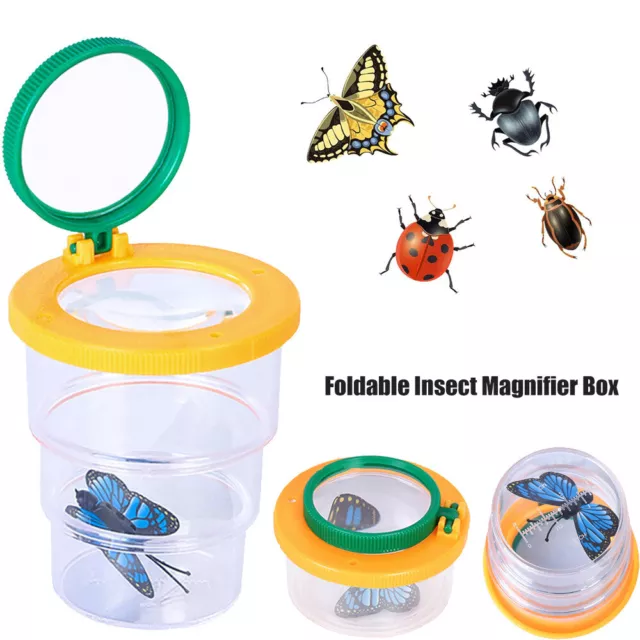 Bug Catcher Box Magnifying Glass Viewer Insect Magnifier Kids Observation Toy AU