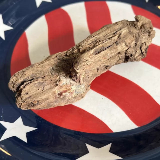 Dug Civil War Artifact Large Confederate Bullet In Wood  Gardner 💥 🇺🇸