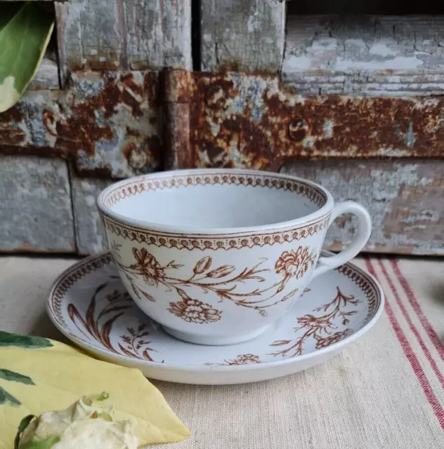 Ancienne Tasse Et Sous Tasse A Cafe Terre De Fer Claremont  Brun Decor Herbier